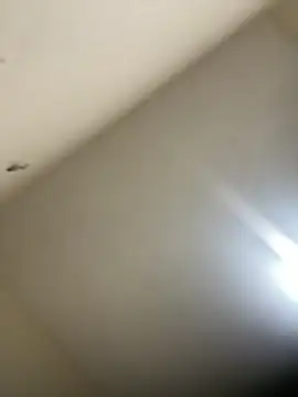 Malandralle online show from 21, 2, 2026