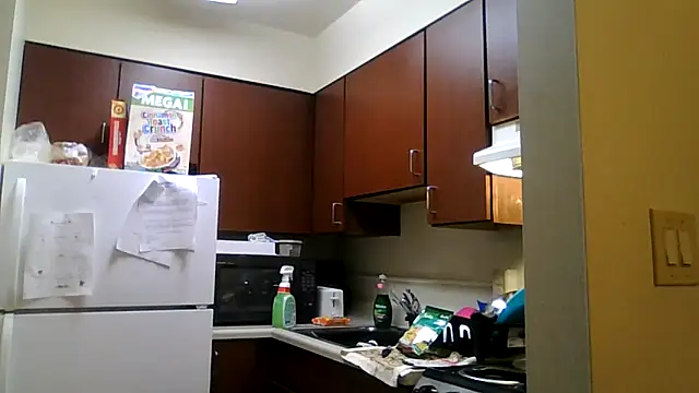 Snapshot of DreamvilleINC chatting on 2, 11, 2025 DreamvilleINC online show from 2, 11, 2025