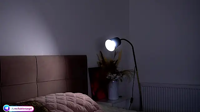 Snapshot of babilonian chatting on 17, 3, 2026 babilonian online show from 17, 3, 2026