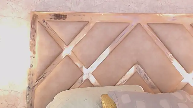 JoannaStanford online show from 5, 11, 2025