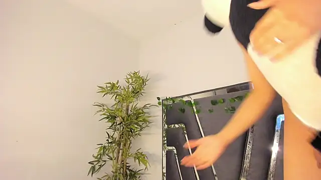 Black Rose2 online show from 8, 2, 2025