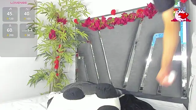 Black Rose2 online show from 6, 3, 2025