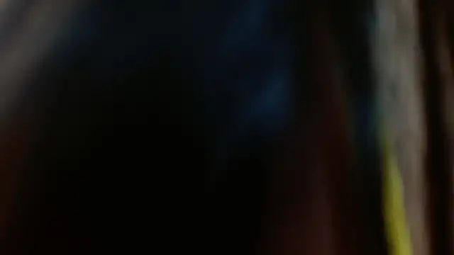 Snapshot of Melikasweetz chatting on 17, 12, 2024 Melikasweetz online show from 17, 12, 2024