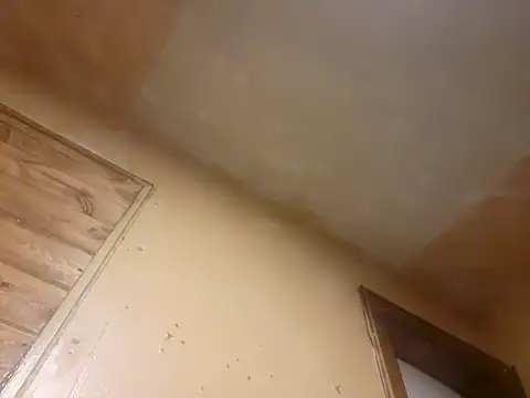 BigDDave6979 online show from 13, 3, 2025