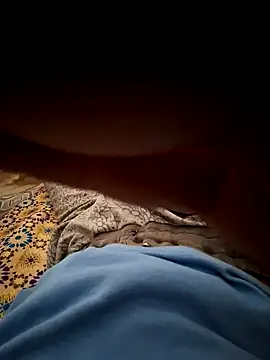 Snapshot of mehdi_haway chatting on 31, 10, 2025 mehdi haway online show from 31, 10, 2025