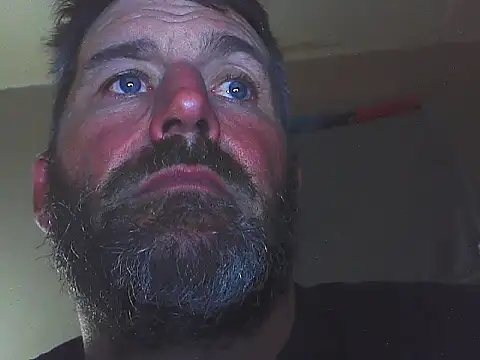 pipeload1275 online show from 1, 11, 2025