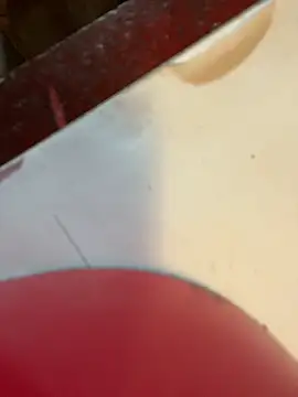 joeycbigcock online show from 2, 1, 2025