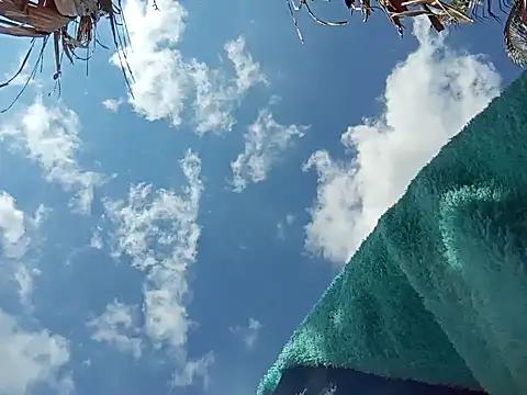 Snapshot of natally_ross21 chatting on 8, 12, 2024 natally ross21 online show from 8, 12, 2024