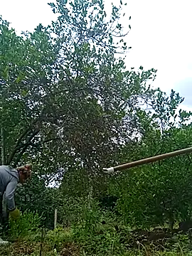 Snapshot of natally_ross21 chatting on 21, 2, 2025 natally ross21 online show from 21, 2, 2025