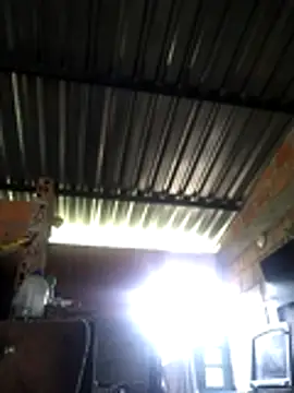 natally ross21 online show from 17, 4, 2026