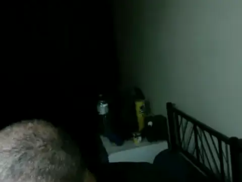 100Tauros online show from 26, 3, 2026