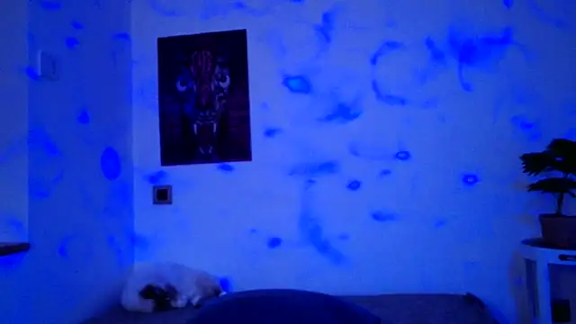 Snapshot of ValeryCrowley14 chatting on 15, 1, 2026 ValeryCrowley14 online show from 15, 1, 2026