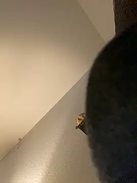 Snapshot of goldbuni chatting on 30, 12, 2024 goldbuni online show from 30, 12, 2024