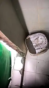 mendelicius online show from 13, 4, 2026