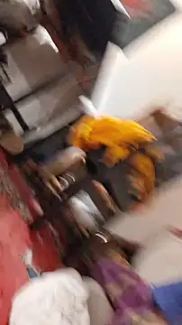 emma neko online show from 22, 11, 2025