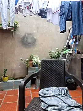 room 24funn online show from 31, 1, 2026