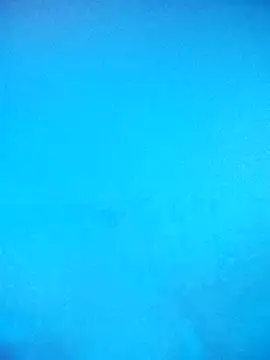 skrigul12 online show from 14, 2, 2026