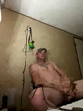 Snapshot of curvedcock8666 chatting on 24, 11, 2025 curvedcock8666 online show from 24, 11, 2025