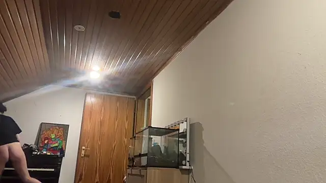 JeSuisUnTapin online show from 19, 4, 2026