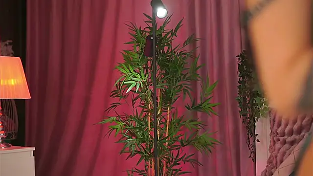 Evelyn Evyyy online show from 9, 2, 2025