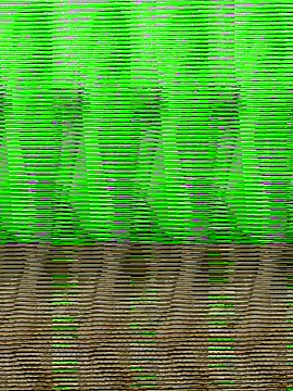 HimiJim online show from 10, 11, 2025