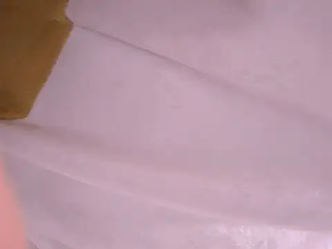 Snapshot of tatsumi_nao chatting on 22, 1, 2025 tatsumi nao online show from 22, 1, 2025