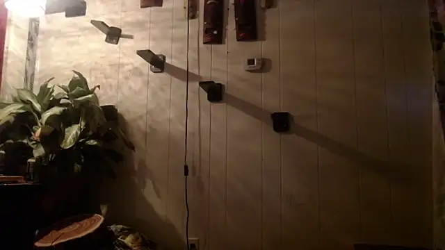 UnCuTupTheBuTT online show from 16, 11, 2025