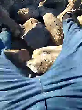 murokkk31 online show from 10, 1, 2025