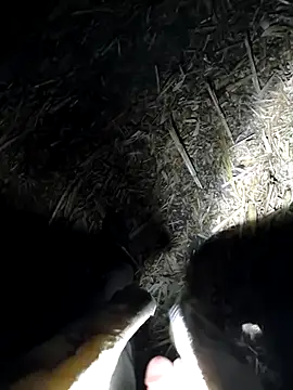 murokkk31 online show from 16, 9, 2025