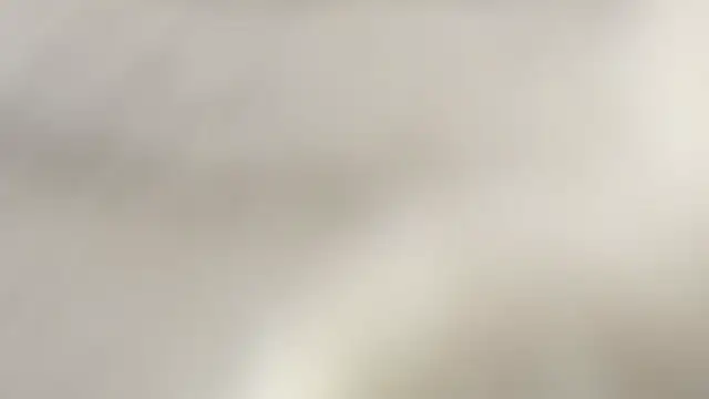 celestica rose online show from 8, 3, 2026