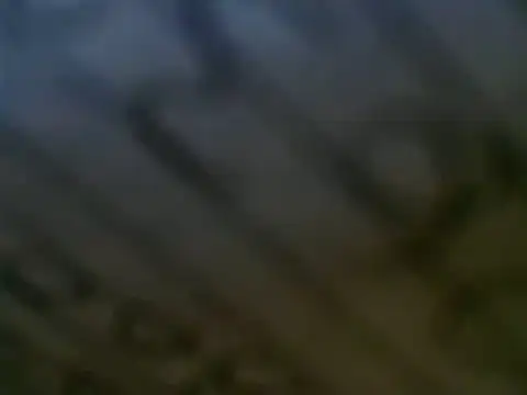 Snapshot of WHITEDAROSE chatting on 12, 3, 2025 WHITEDAROSE online show from 12, 3, 2025