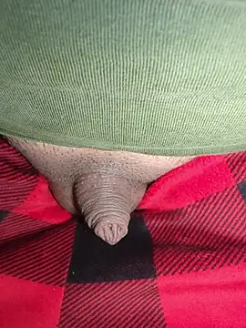 publicsir online show from 2, 3, 2026