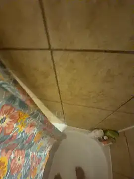 alxcol online show from 3, 12, 2025