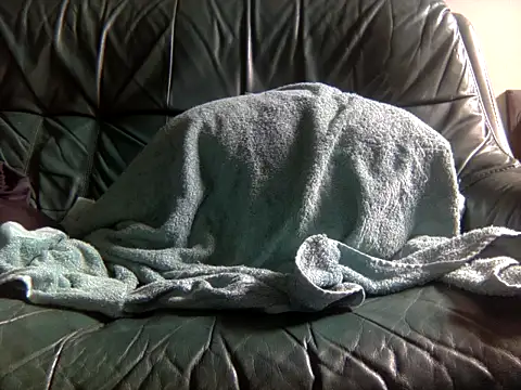 kimbo500 online show from 13, 2, 2026