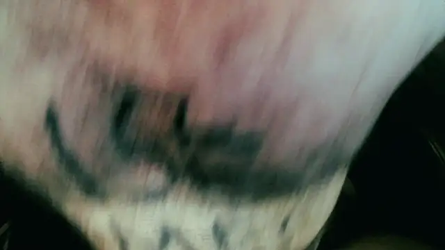 Gigadickman online show from 5, 1, 2025