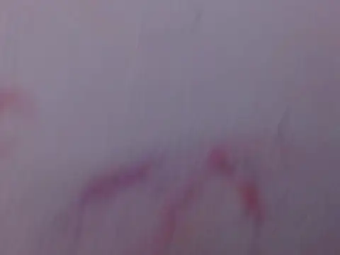 Mily pao1 online show from 18, 2, 2026