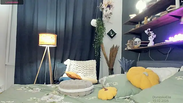 DominikaElis online show from 15, 2, 2025