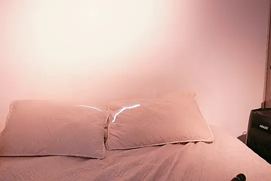 Snapshot of Nicky_and_Blake chatting on 2, 2, 2025 Nicky and Blake online show from 2, 2, 2025