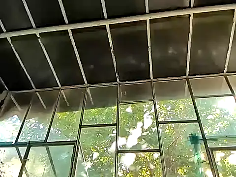 Snapshot of Milky_hairy_mommy chatting on 15, 9, 2025 Milky hairy mommy online show from 15, 9, 2025