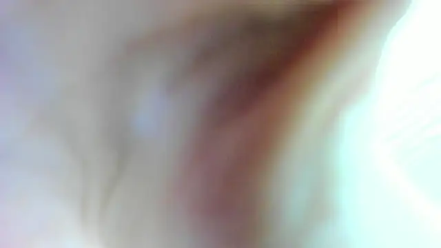 Snapshot of AishaRouhi chatting on 17, 1, 2025 AishaRouhi online show from 17, 1, 2025