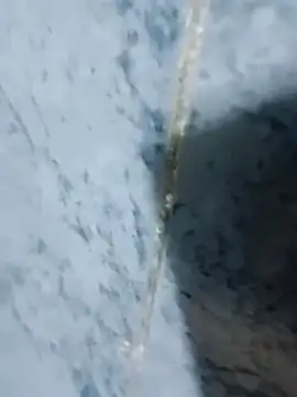 Chancho141414 online show from 18, 10, 2025