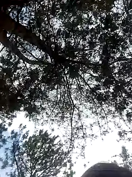 Snapshot of Sofia_xx2 chatting on 27, 2, 2025 Sofia xx2 online show from 27, 2, 2025