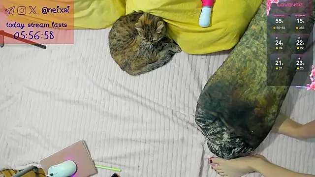 Snapshot of ixsi chatting on 23, 10, 2025 ixsi online show from 23, 10, 2025