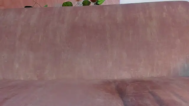 sammyfox97 online show from 14, 11, 2025