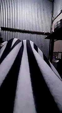 Snapshot of sandip-bhai chatting on 12, 1, 2025 sandip-bhai online show from 12, 1, 2025