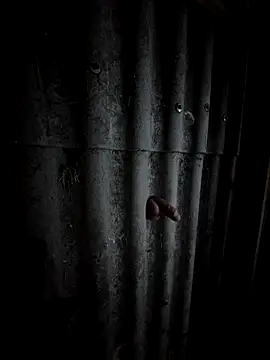 Qmaster69 online show from 11, 2, 2026