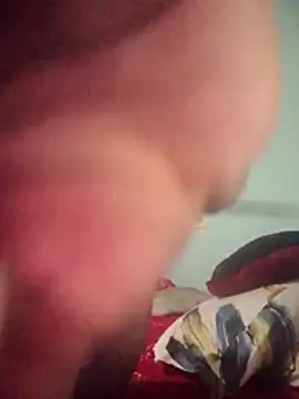 DigCrok online show from 8, 4, 2026