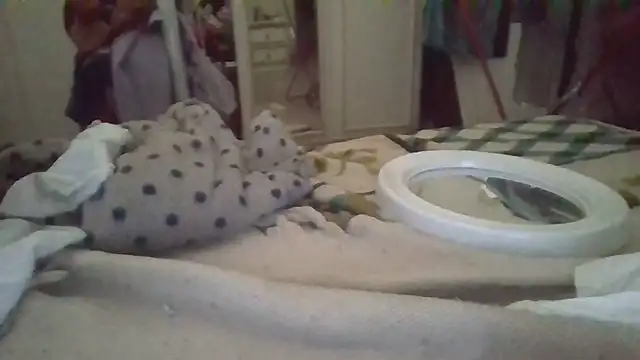 Snapshot of biuv chatting on 6, 11, 2025 biuv online show from 6, 11, 2025