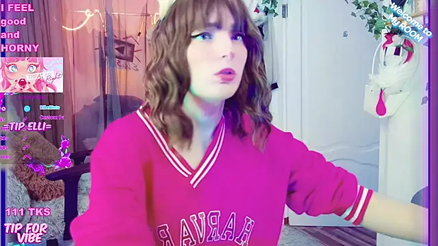 Snapshot of Toxic_Ellies chatting on 14, 12, 2024 Toxic Ellies online show from 14, 12, 2024