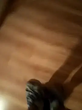 pana1978loco online show from 29, 11, 2025